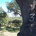 2009_portugal 215